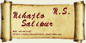 Mihajlo Šalipur vizit kartica